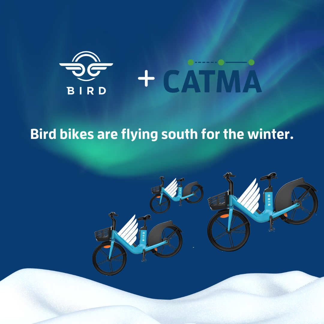 A flock of Bird Bikes flying south under the Northern lights