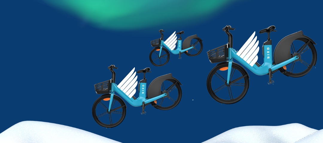 An image of Bird Bikes with wings flying south under the Northern Lights.
